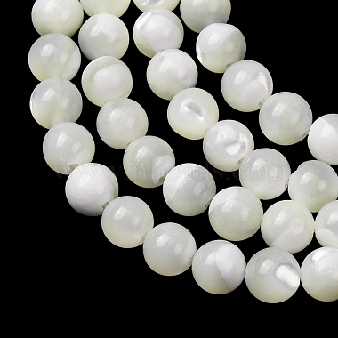 Natural Trochid Shell/Trochus Shell Beads Strands(SH-CBA2978-16B)-2
