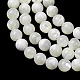 Natural Trochid Shell/Trochus Shell Beads Strands(SH-CBA2978-16B)-2