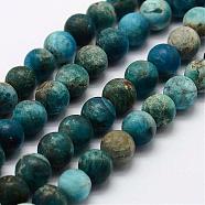 Natural Apatite Beads Strands, Round, Frosted, 5.5~6mm, Hole: 1mm, about 63pcs/strand, 15 inch~15.3 inch(G-K193-6mm-12)