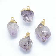Natural Amethyst Pendants, with Brass Findings, Nuggets, Golden, 17~25x10~15mm, Hole: 2mm(G-P383-13G)