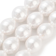 Electroplated Shell Pearl Beads Strands, Grooved Oval Beads, White, 17x13mm, Hole: 0.8mm, about 24pcs/strand, 15.94''(40.5cm)(BSHE-H110-01-03)