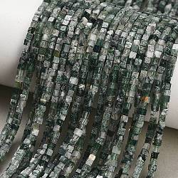 Natural Moss Agate Beads Strands, Cube, 2.5x2.5x2.5mm, Hole: 0.8mm, about 151pcs/strand, 15.08''(38.3cm)(GG-CBA2498-A04-01)