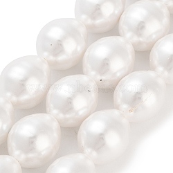 Electroplated Shell Pearl Beads Strands, Grooved Oval Beads, White, 17x13mm, Hole: 0.8mm, about 24pcs/strand, 15.94''(40.5cm)(BSHE-H110-01-03)