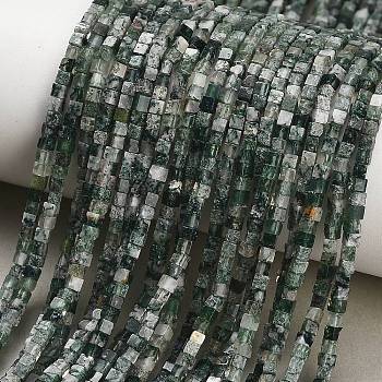 Natural Moss Agate Beads Strands, Cube, 2.5x2.5x2.5mm, Hole: 0.8mm, about 151pcs/strand, 15.08''(38.3cm)