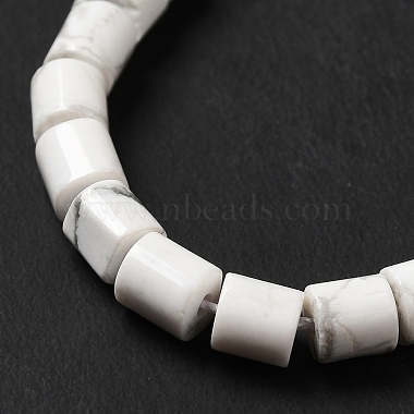 Natural Howlite Beads Strands(G-I341-04)-5