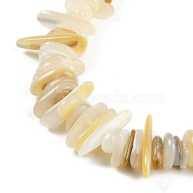 Natural Trochus Shell Beads Strands(BSHE-H109-08)-3