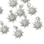SHEGRACE Brass Micro Pave Cubic Zirconia Pendants, Sun Charms, Cadmium Free & Nickel Free & Lead Free, Clear, Real Platinum Plated, 13x11x3mm, Hole: 2.8mm(XGRQ3D867-477P)