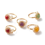 Natural Mixed Gemstone Finger Rings for Girl Women, Round Shell Pearl Beads Ring, Brass Wire Wrap Ring, Golden, US Size 7 3/4(17.9mm)(RJEW-TA00012)