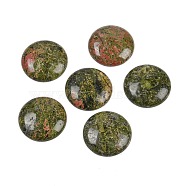 Natural Unakite Cabochons, Half Round/Dome, 25x5.5mm(G-H1596-FR-25mm-09)