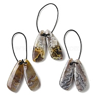 2Pcs Natural Mexican Agate Pendants, Gems Charms, Wing, 28.5x11x4.5mm, Hole: 1.5mm(G-B105-01E)