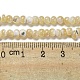 Natural Trochus Shell Beads Strands(SSHEL-H072-13A)-4