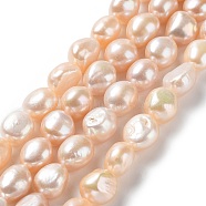Natural Cultured Freshwater Pearl Beads Strands, Two Side Polished, Grade 4A, Seashell Color, 12~13x11~12x8~9mm, Hole: 0.6mm, about 29~31pcs/strand, 14.96''(38~39cm)(PEAR-Z002-27)