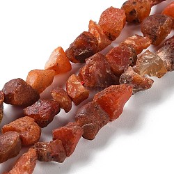 Raw Rough Natural Carnelian Beads Strands, Nuggets, 4~11x4.5~14.5x4.5~14.5mm, Hole: 0.8mm, about 41~43pcs/strand, 15.35~15.94''(39~40.5cm)(G-B065-C22)