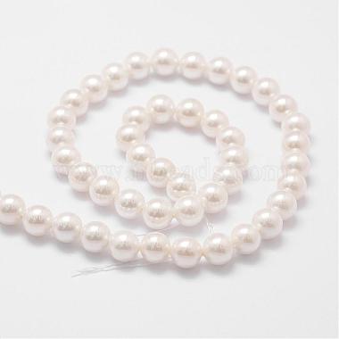 Rainbow Plated Shell Pearl Bead Strands(BSHE-L025-02-10mm)-2