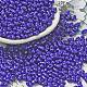 Baking Paint Glass Seed Beads(SEED-K009-01A-09)-1
