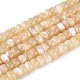 Natural Trochid Shell/Trochus Shell Beads Strands(BSHE-T014-54B)-1
