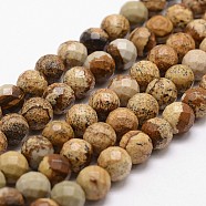 Natural Picture Jasper Beads Strands, Faceted, Round, 6mm, Hole: 1mm, about 61pcs/strand, 14.9 inch~15.1 inch(G-D840-47-6mm)