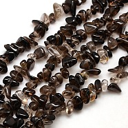 Chips Natural Smoky Quartz Beads Strands, 8~14x4~8x3~6mm, Hole: 1mm, about 15~16 inch(G-P030-03)