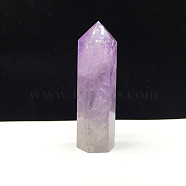 Point Tower Natural Amethyst Home Display Decoration, Healing Stone Wands, for Reiki Chakra Meditation Therapy Decos, Hexagon Prism, 50~60mm(PW23030648201)