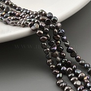 Dyed Natural Cultured Freshwater Pearl Beads Strands, Two Sides Polished, Grade A, Black, 2~3mm, Hole: 0.5mm, about 53pcs/strand, 7.09''(18cm)(PEAR-A006-01B)