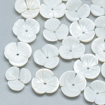Freshwater Shell Beads, Flower, 11.5x12x3mm, Hole: 1mm