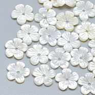 Natural White Shell Beads, Mother of Pearl Shell Beads, Flower, 10x10x2mm, Hole: 1mm(SSHEL-S260-059B)