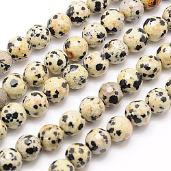 Natural Dalmation Jasper Beads Strands, Faceted, Round, 8mm, Hole: 1mm, about about 45pcs/strand, 14.5 inch(G-G542-8mm-07)