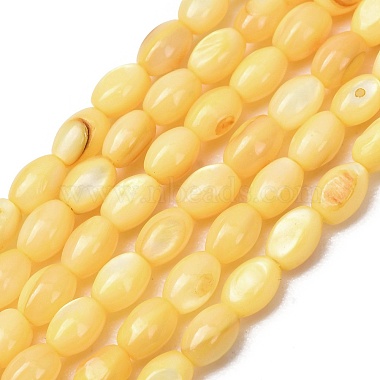 Dyed Natural Freshwater Shell Beads Strands(SH-CBA2978-06B)-1