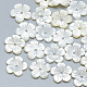 Perles de coquillage blanc naturel(SSHEL-S260-059B)-1