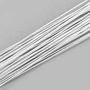Round Iron Wire, Floral Wire, for Florist Flower Arrangement, Bouquet Stem Warpping and DIY Craft, WhiteSmoke, 26 Gauge, 0.4mm, about 1-5/8 inch(40cm)/strand, 100 strand/bag(MW-S002-03F-0.4mm)