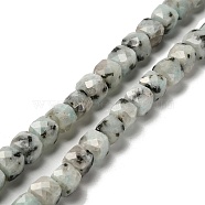 Natural Sesame Jasper Beads Strands, Faceted, Cube, 6.5~7.5x6.5~7.5x6.5~7.5mm, Hole: 1.2mm, about 57~58pcs/strand, 15.35~15.55 inch(39~39.5cm)(G-H078-C24-01)