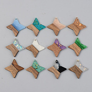 Resin & Walnut Wood Pendants, Star, Mixed Color, 29.5x29.5x3mm, Hole: 2mm(RESI-S389-011A)