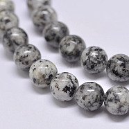 Natural Sesame Jasper/Kiwi Jasper Beads Strands, Round, Gray, 6mm, Hole: 1mm, about 62pcs/strand, 15.1 inch(G-F351-6mm)