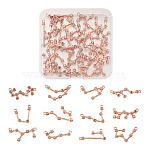 2 Sets Zinc Alloy with Glass Rhinestone Jewelry Pendant Accessories, Twelve Constellations Series, Rose Gold, 12 Constellations, 15x31mm, Hole: 1mm, 12 constellations, 1pc/constellation, 12pcs/set(FIND-FW0001-07)