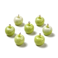 Opaque Resin Pendants, with Golden Tone Iron Loops, Imitation Food, Apple, Green Yellow, 25x20mm, Hole: 2mm(RESI-G037-02)