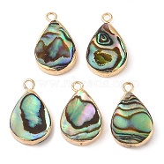 Natural Paua Shell Pendants, Teardrop Charms with Brass Edge, Golden, 19.5x12x3.5mm, Hole: 1.8mm(SHEL-P017-14G)