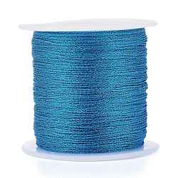 Polyester Braided Metallic Thread, for DIY Braided Bracelets Making and Embroidery, Dodger Blue, 0.4mm, 6-Ply, about 54.68 yards(50m)/roll(OCOR-I007-B-27)