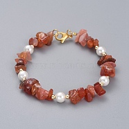Natural Red Agate/Carnelian Chip Beaded Bracelets, with Shell Pearl Round Beads, Brass Beads and 304 Stainless Steel Lobster Claw Clasps, 7-1/4 inch(18.5cm)(BJEW-JB04933-05)