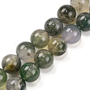 Natural Moss Agate Beads Strands, Round, Grade A, 9.5~10mm, Hole: 0.7mm, about 37pcs/strand, 14.80''(37.6cm)(G-J358-01-10MM)