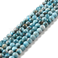 Natural Apatite Beads Strands, Round, 6.5mm, Hole: 0.7mm, about 61pcs/strand, 14.96 inch(38cm)(G-G858-01A)