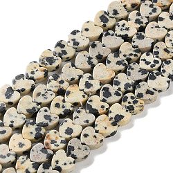 Natural Dalmatian Jasper Beads Strands, Heart, 6x6x3mm, Hole: 1mm, about 69~71pcs/strand, 14.57''~14.96''(37~38cm)(G-M403-A31-02)