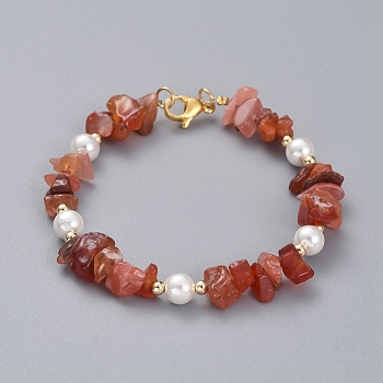 Natural Red Agate/Carnelian Chip Beaded Bracelets, with Shell Pearl Round Beads, Brass Beads and 304 Stainless Steel Lobster Claw Clasps, 7-1/4 inch(18.5cm)