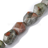 Natural Afican Bloodstone Beads Strands, Faceted, Nuggets, 16~17x11~13x11~13mm, Hole: 1.5mm, about 13pcs/strand, 8.46~8.58 inch(21.5~21.8cm)(G-F743-04F)