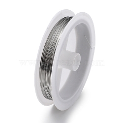 Non-Tarnish 10 Rolls 304 Stainless Steel Wire, Round, for Wire Wrapping Jewelry Making, Stainless Steel Color, 18 Gauge(1mm), about 65.62 Feet(20m)/roll(TWIR-H001-01F-P)