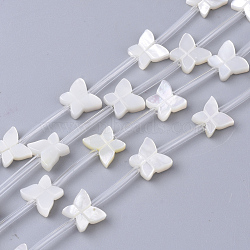 Natural White Shell Beads, Mother of Pearl Shell Beads, Butterfly, White, 7x8x2.5mm, Hole: 0.6mm(X-SSHEL-S264-070)