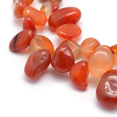 Natural Carnelian Beads Strands(G-K220-32B)-3