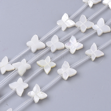 White Butterfly White Shell Beads