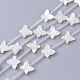Natural White Shell Beads(X-SSHEL-S264-070)-1