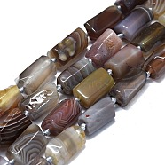 Natural Botswana Agate Beads Strands, Nuggets, 12~14x7~8mm, Hole: 0.7mm, about 29pcs/strand, 16.73''(42.5cm)(G-O170-123)