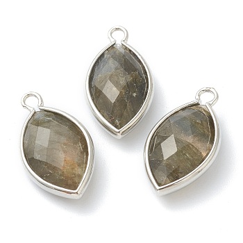 Natural Labradorite Pendants, with Platinum Brass Edge, Faceted, Horse Eye, 22x12x5.5mm, Hole: 1.8mm